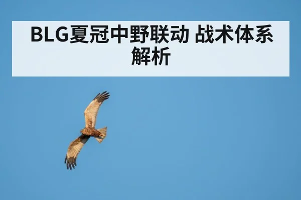 BLG夏冠中野联动 战术体系解析