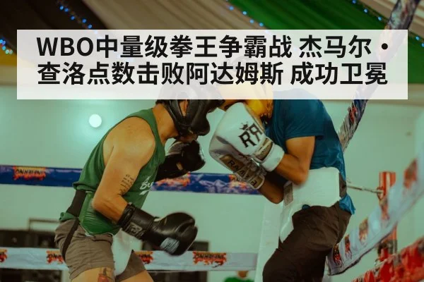 WBO中量级拳王争霸战 杰马尔·查洛点数击败阿达姆斯 成功卫冕